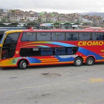 autobús de cromotex