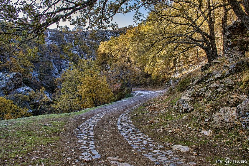 Dehesa del camarate