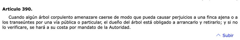Artículo 390 del Código Civil