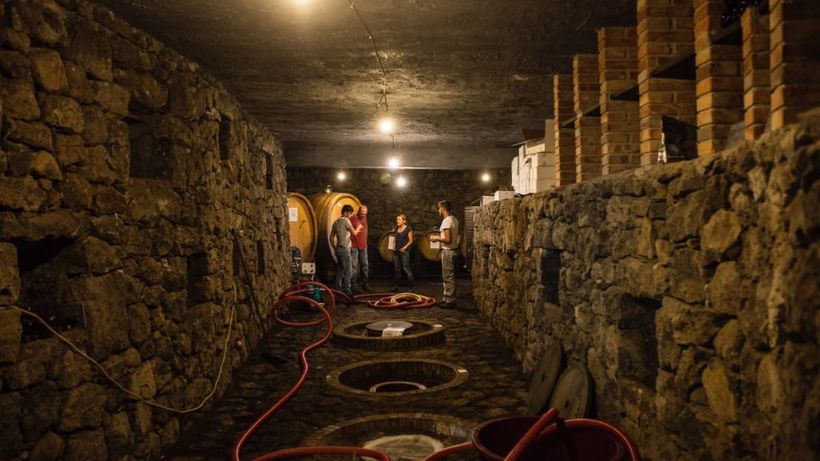 Personas trabajando en una bodega