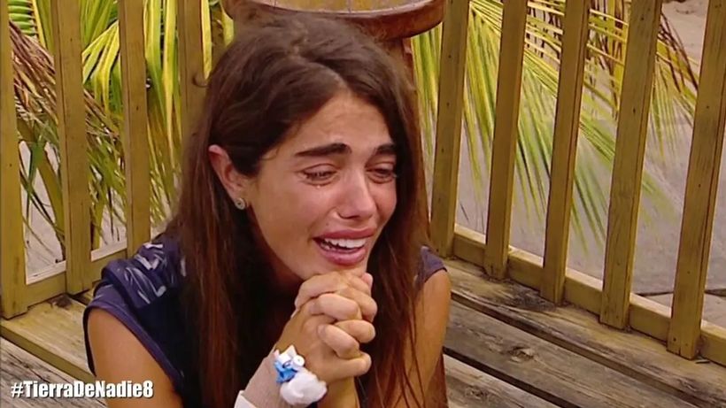 Violeta supervivientes 2019