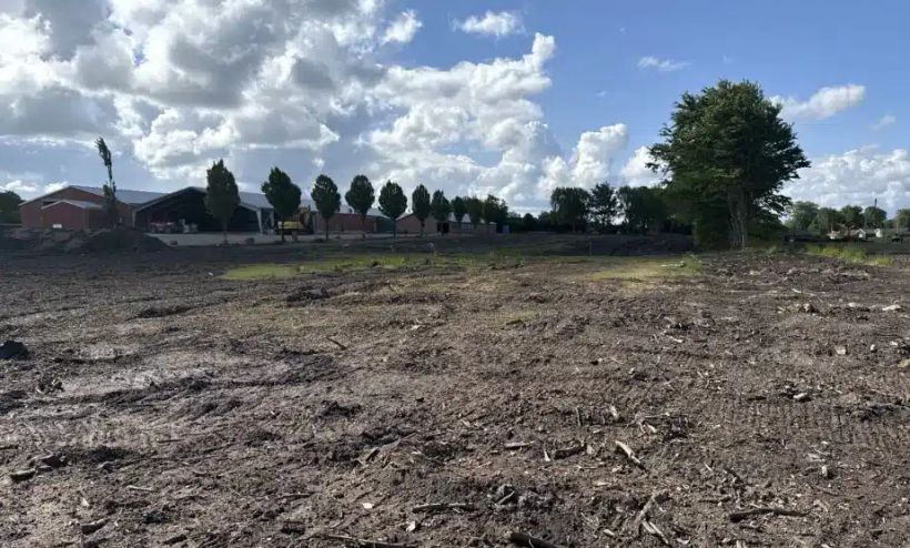 el campo donde se descubrió el dinero