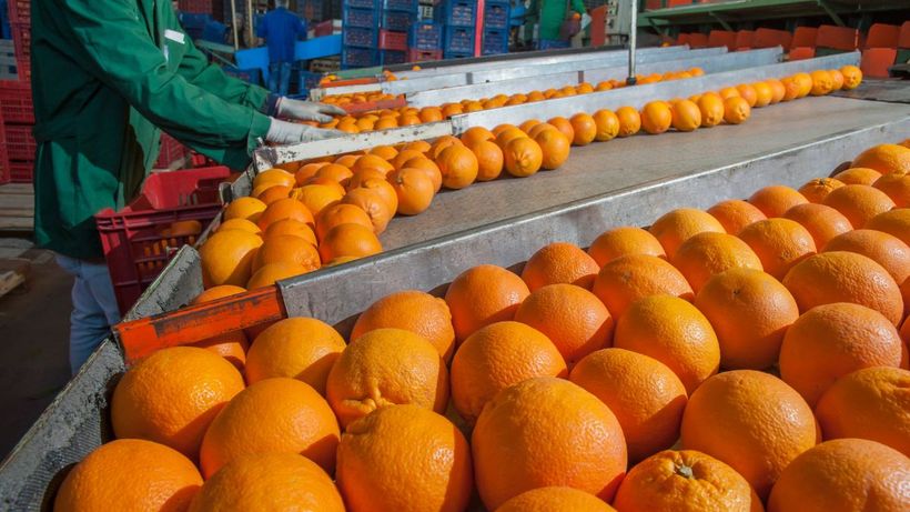 Operario trabajando en almacén con naranjas