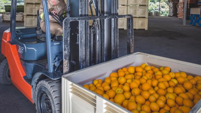 Llevando naranjas en una transpaleta