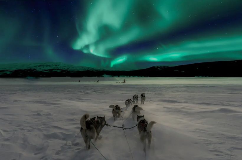 auroras boleares laponia perros