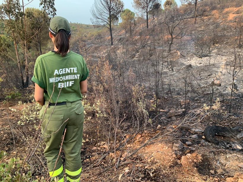 agente medioambiental