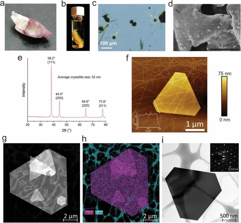 Proceso de conversión en oro