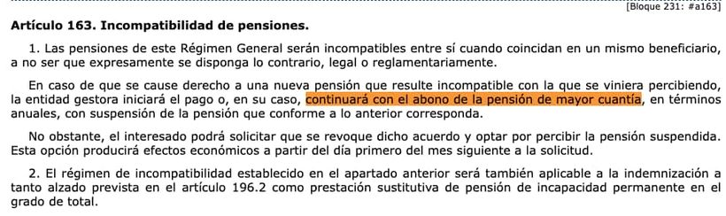 Artículo 163 de la Ley General de la Seguridad Social