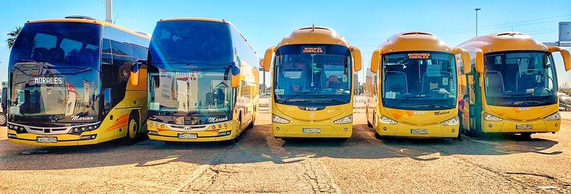 algunos autobuses de la empresa morales