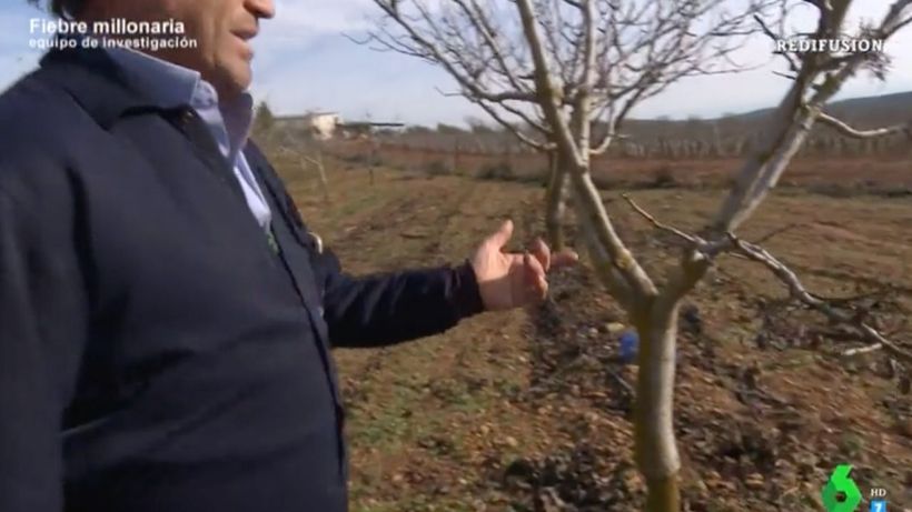 El agricultor enseñando su cultivo. ('Equipo de Investigación').