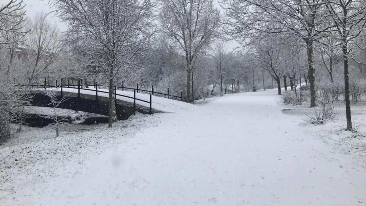 La luna fría traerá nieve y heladas