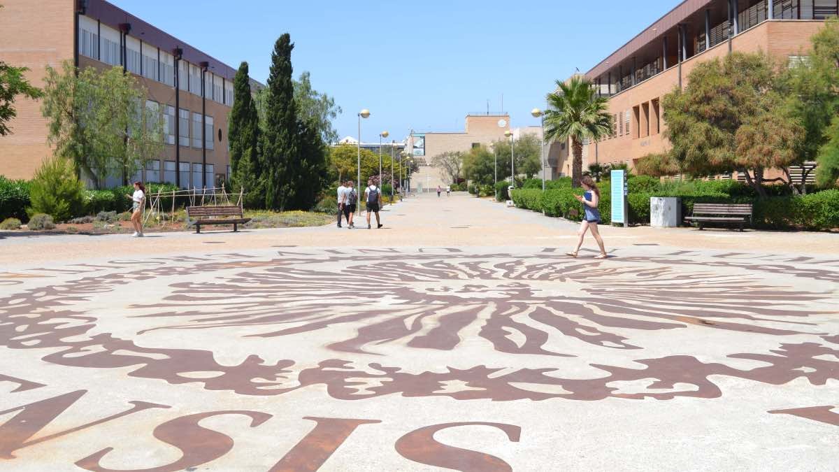 La Universidad de Almería (UAL) supera la media de inserción laboral en Andalucía