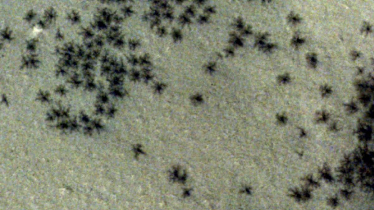Así son las arañas de Marte que han llegado a la Tierra: la NASA lo ha desvelado