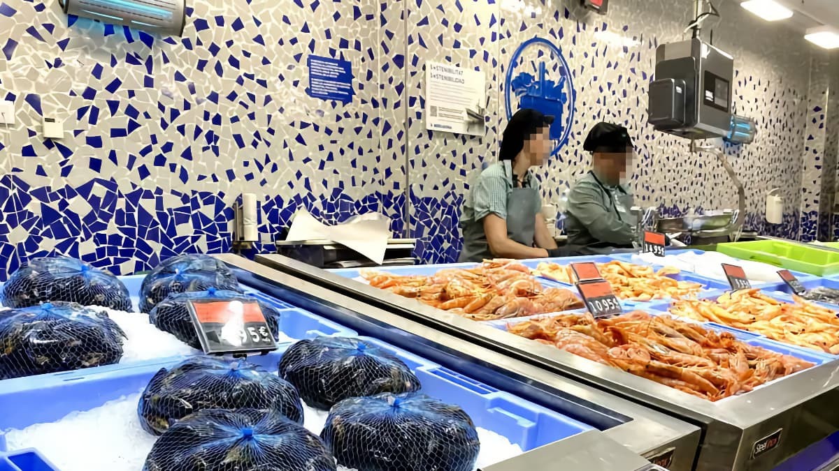 Mercadona busca personal sin experiencia para empleos fijos y con sueldos de 6.700 euros para entrar a trabajar en octubre