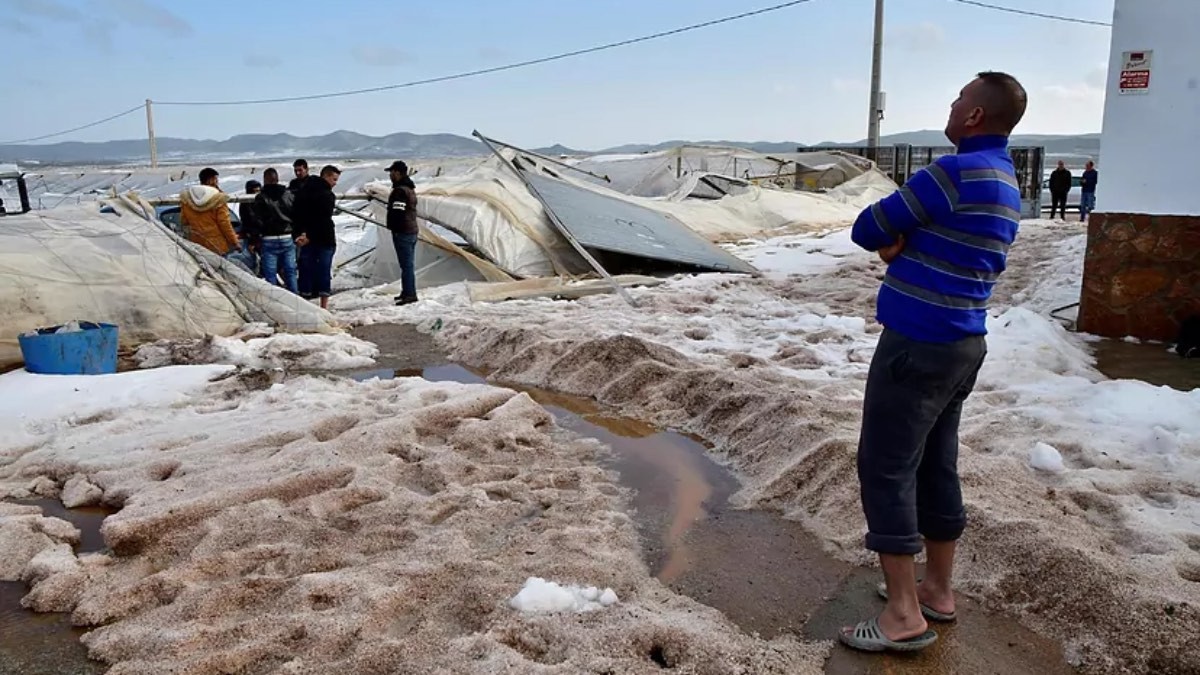 La DANA avisada por la AEMET destroza la huerta de Europa: así han quedado miles de invernaderos