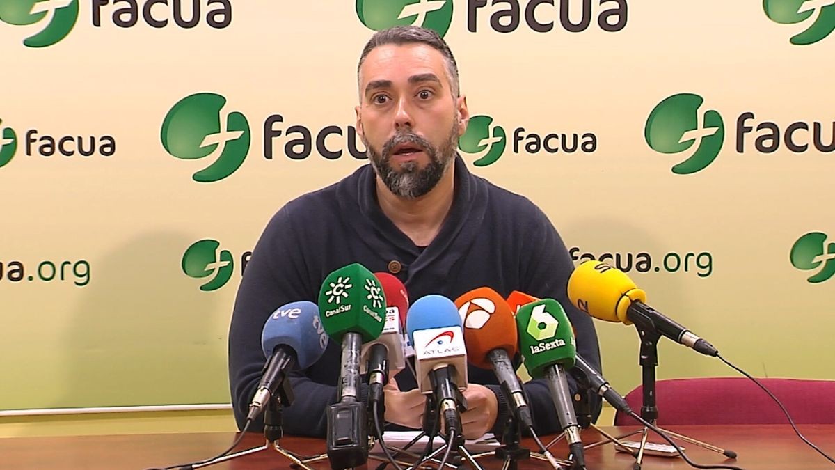 Facua revela que el 84% de los viajeros que sufrieron la cancelación de un vuelo no sabían que podían cobrar indemnización