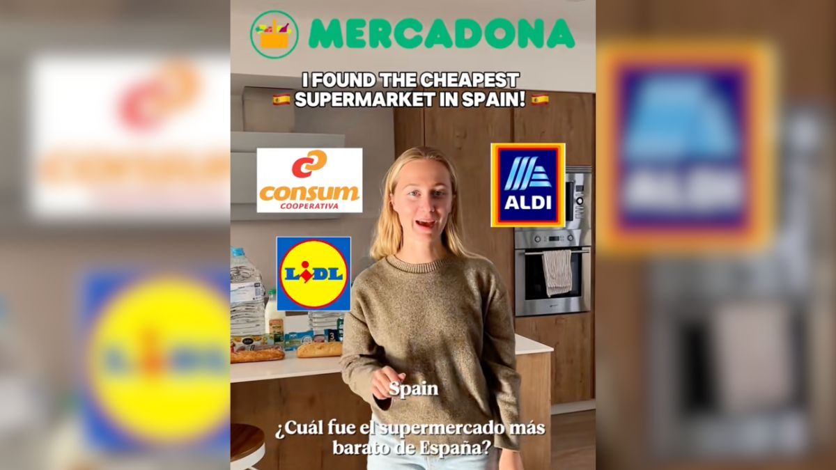 Lidl, Aldi, Mercadona o Consum: una joven compra los mismos productos ...