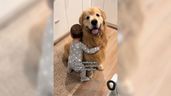 Golden Retriever con un niño abrazándolo