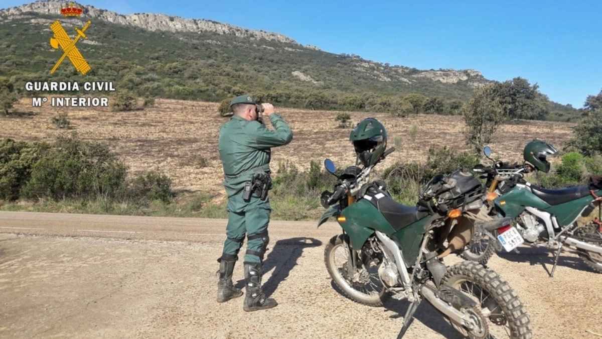 Un Guardia Civil forestal analizando la zona Un Guardia Civil forestal controlando el campo