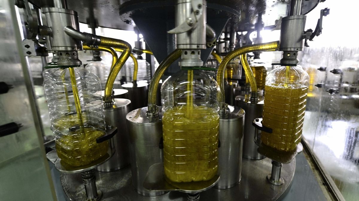 Botellas de aceite de oliva en proceso de llenado en una almazara. Aceite de oliva