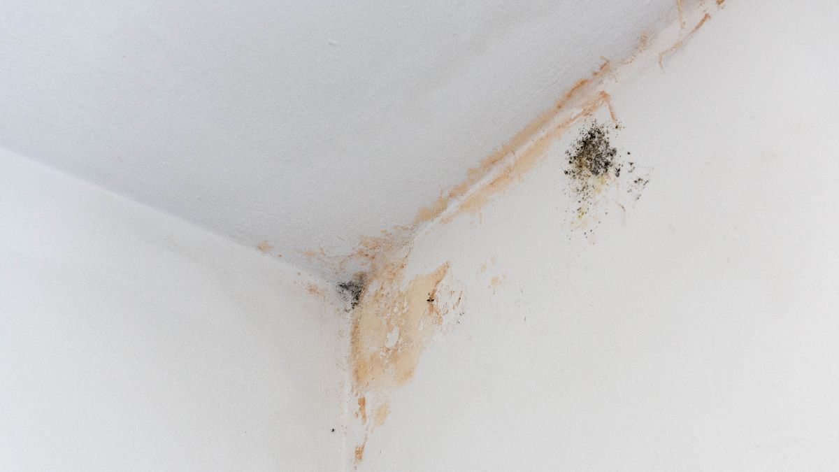 Humedades en techo y pared
