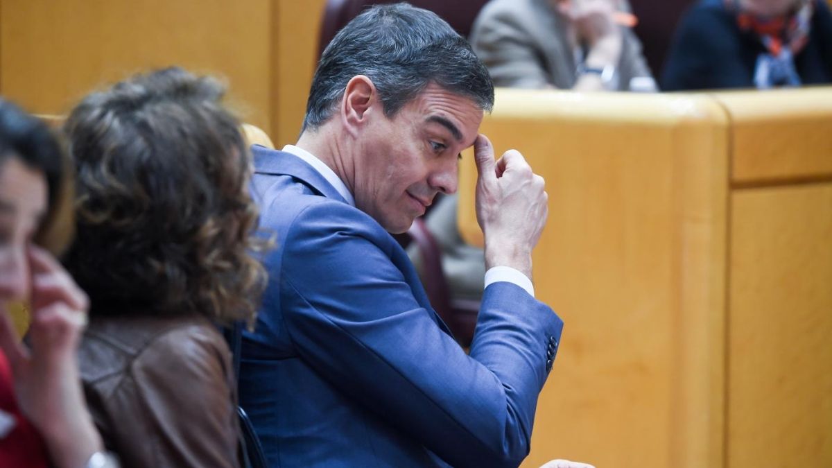El presidente del Gobierno, Pedro Sánchez, en el Senado. Pedro Sánchez