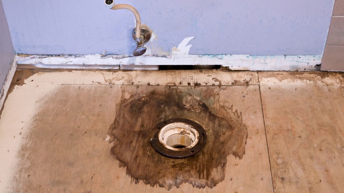 Desagüe de un cuarto de baño Desagüe de un cuarto de baño