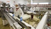Trabajadores en una fábrica