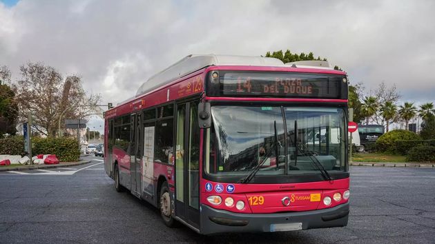 Confirmado por el Gobierno: ya se pueden solicitar los descuentos del 90% en transporte del ‘Verano Joven’