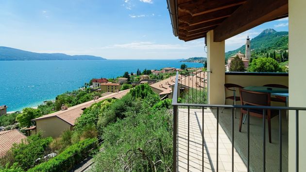 Pierde las vistas al mar por culpa del seto de su vecino y utiliza un método poco convencional para recuperarlas: "era la única manera de volver a ver el mar"