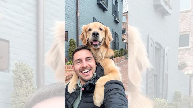 No estás preparado para ver la reacción de esta Golden retriever cuando su dueño dice ‘selfie’: “estoy literalmente llorando”