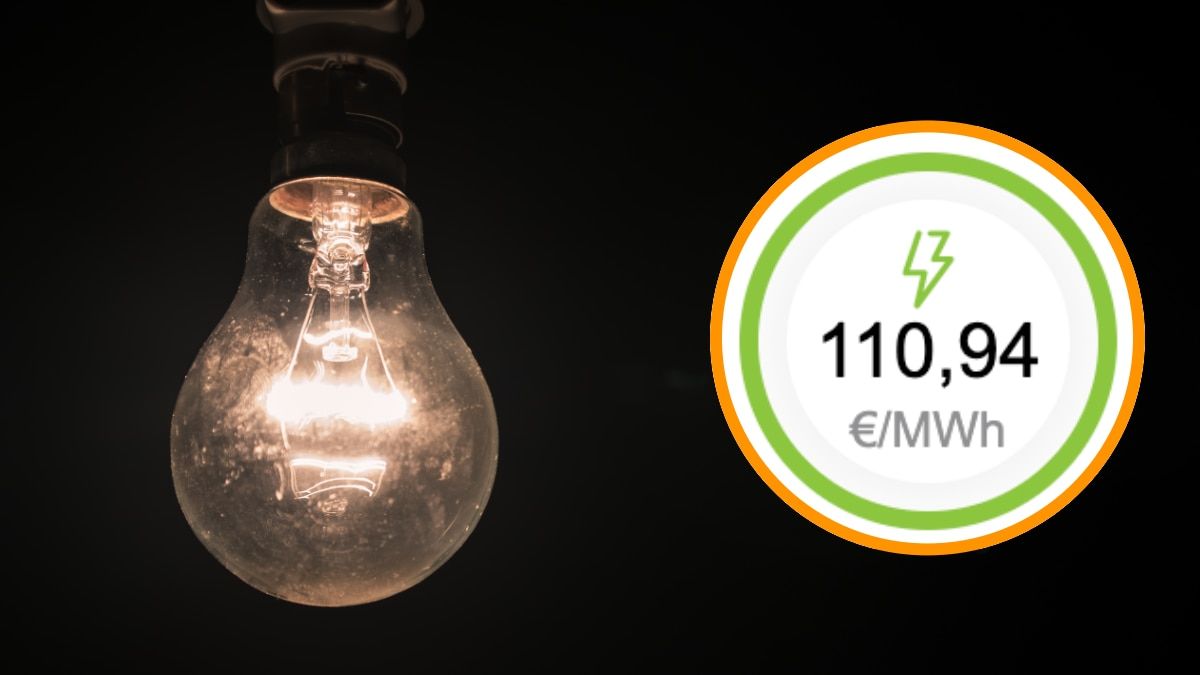 precio luz