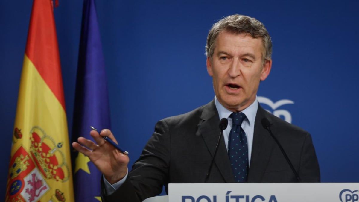 El presidente del Partido Popular Alberto Núñez Feijóo El presidente del Partido Popular Alberto Núñez Feijóo
