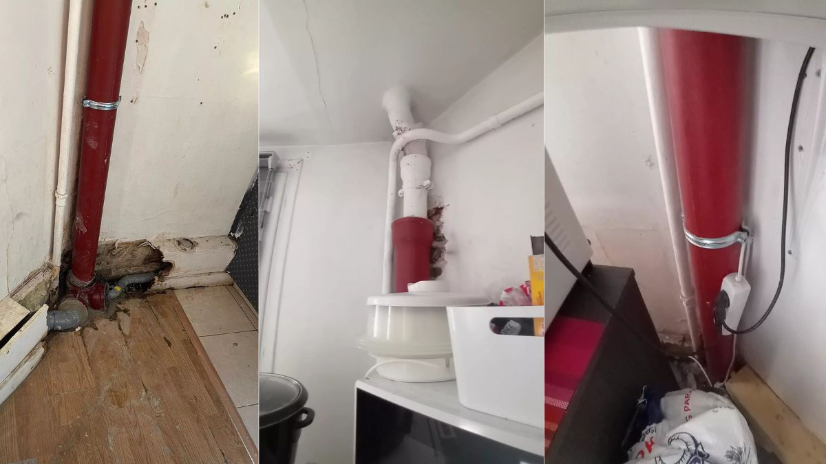 Imágenes de la vivienda Imágenes de la vivienda