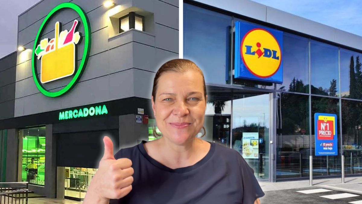 ¿Donde es más barato comprar: en Lidl o en Mercadona? comprar mas barato lidl mercadona youtuber