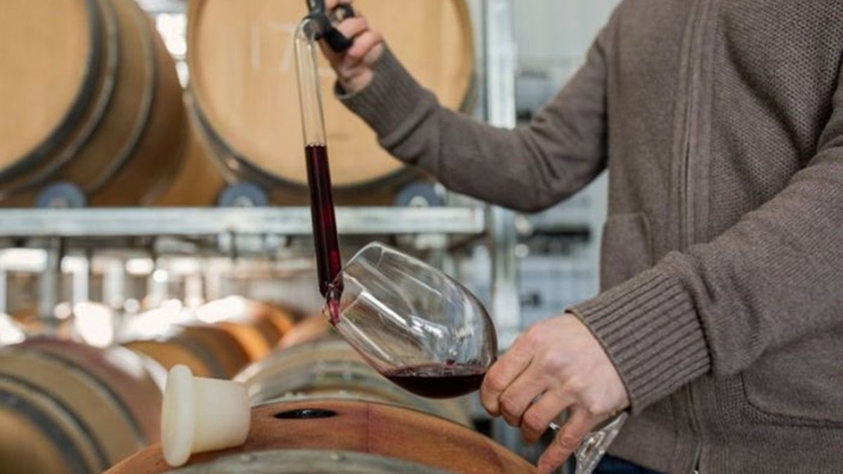Soy enólogo y ahora tengo trabajo fijo: esto es lo que he estudiado para ganar más de 40.000 euros al año Catando vino