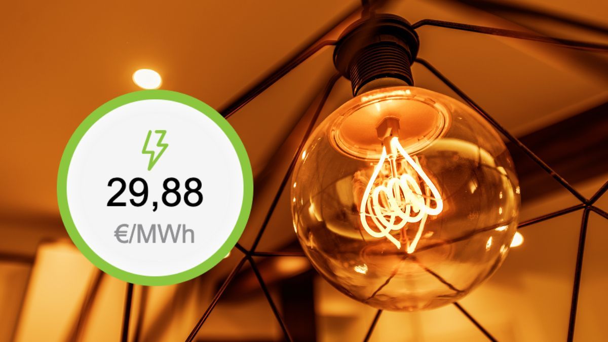 Precio de la luz del domingo, 3 de agosto en el mercado mayorista