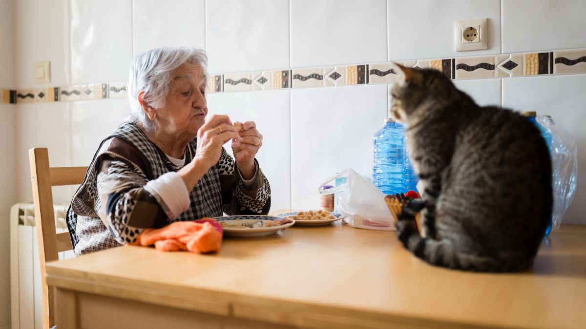 Una anciana comiendo junto a un gato