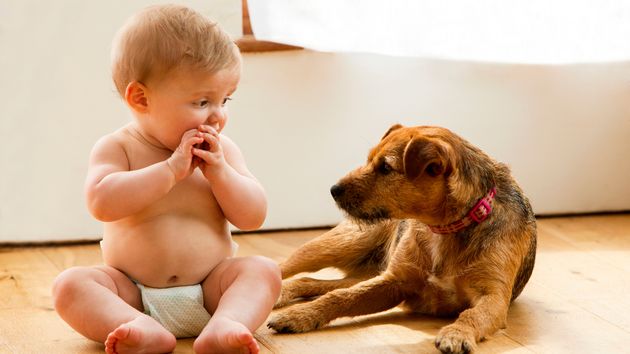 La psicología revela las 7 habilidades sociales y emocionales que suelen desarrollar los niños que crecen con una mascota
