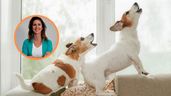 Perros ladrando y la administradora de fincas