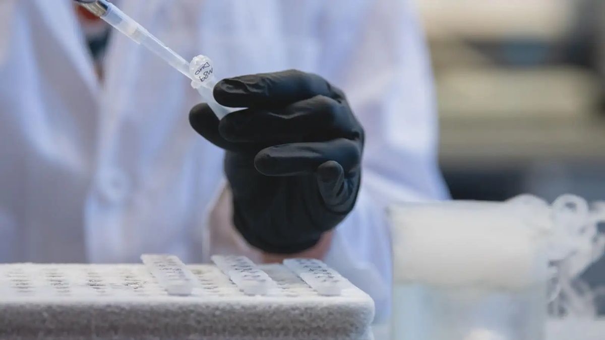 Muestras en un laboratorio