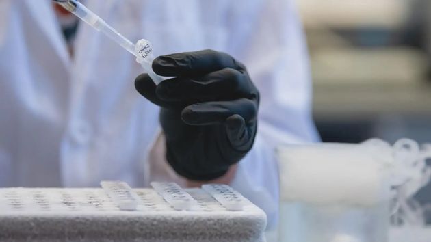 Un prometedor fármaco experimental contra el cáncer consigue eliminar tumores agresivos