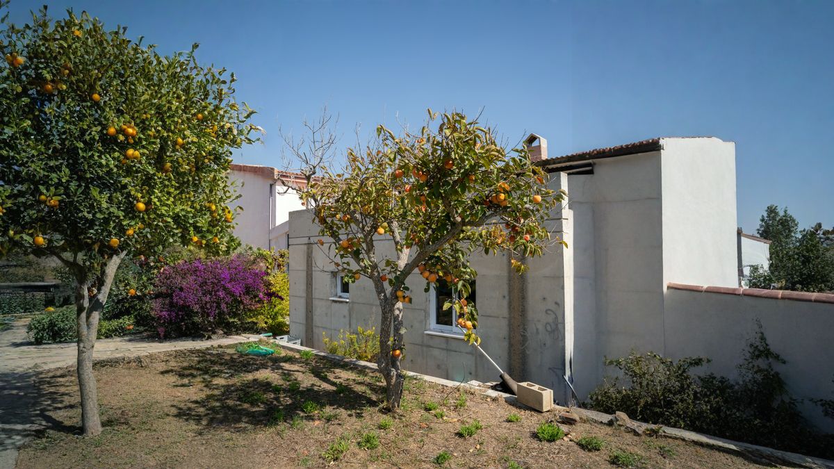 Árboles frutales en el jardín de una casa 