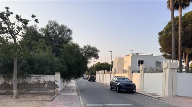 La ley deja claro qué hacer si las ramas del árbol o los setos del vecino invaden la acera
