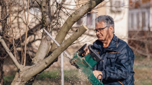 Un propietario se sorprende al despertarse y encontrar a unos trabajadores podando un árbol de su patio trasero: “Les dije repetidamente que salieran de mi propiedad”