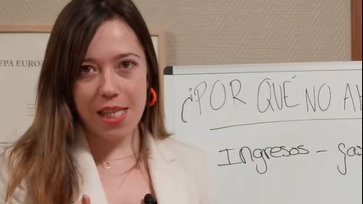 La economista Elsa Pérez en su canal de TikTok (lapizarradeelsa)