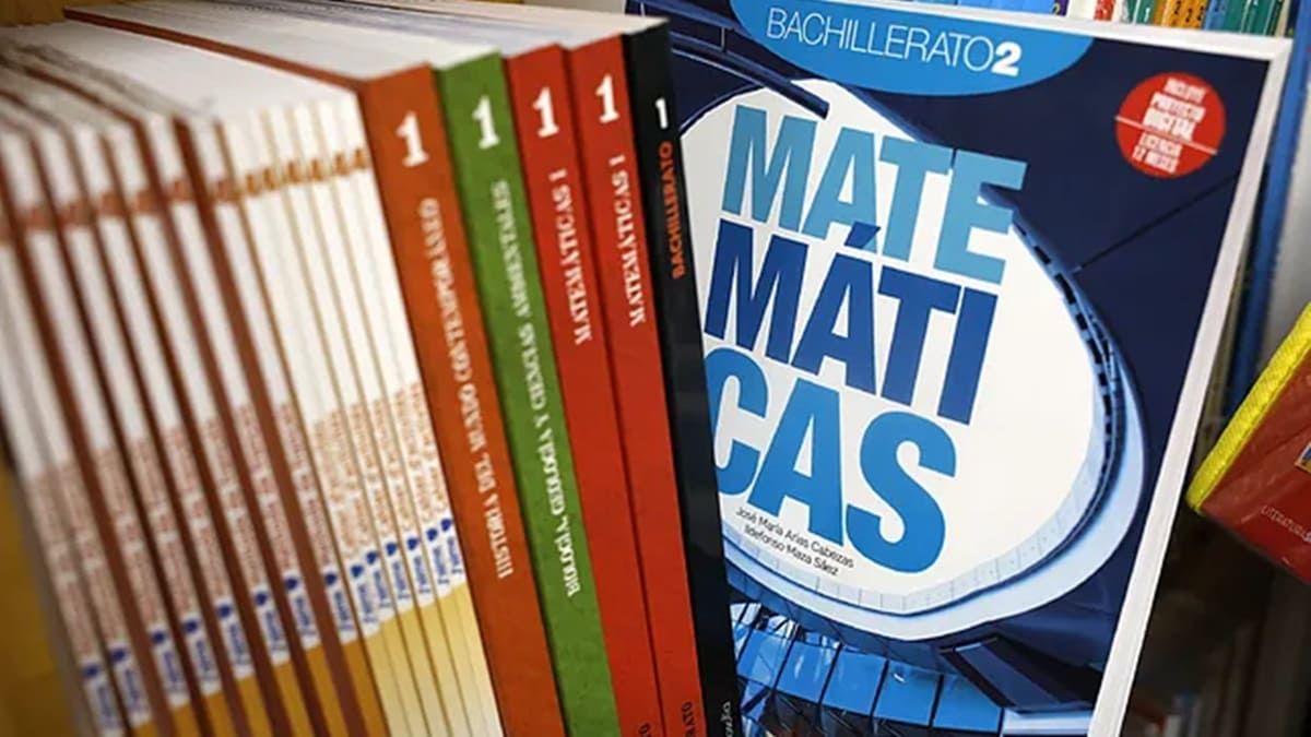 Varios libros expuestos en una una estantería para su venta antes del inicio del curso escolar