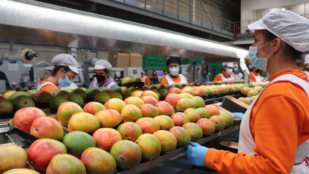 Ofertas de empleo del 2 de septiembre de 2025 en España: últimas vacantes en el sector público y privado