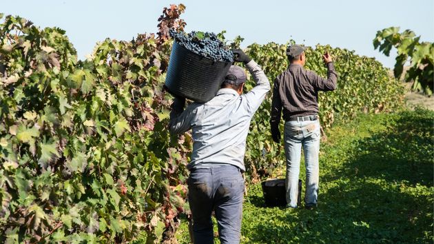 Sube el paro en agosto en 21.905 personas pero mejora la contratación en desempleados de larga duración y agricultura