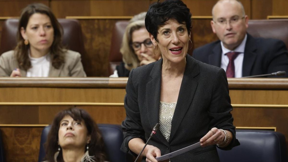 Elma Saiz durante una intervención en el Congreso